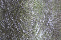 Underling Green fibreglass roof work